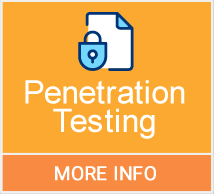 Penetration Testing - More Info