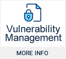 Vulnerability Management - More Info